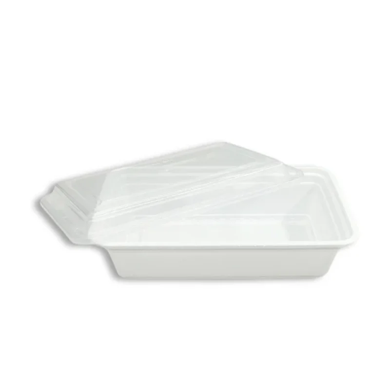 Plastic Rectangle Containers | Krates Canada