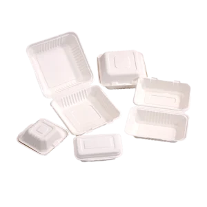 Bagasse Containers